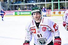 Eishockey, Herren, CHL, Champions Hockey League, Saison 2022-2023, Achtelfinale, Straubing Tigers - Frölunda HC Göteborg, Rückspiel, 22.11.2022