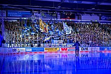 Eishockey, Men, DEL, Penny DEL, Hauptrunde Saison 2024-25, 4. Spieltag, Straubing Tigers - EHC Red Bull München, 01.01.2021