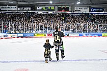 Eishockey, Herren, Penny DEL, 52. Spieltag, Saison 2023-2024, Straubing Tigers - Grizzlys Wolfsburg,08.03.2024