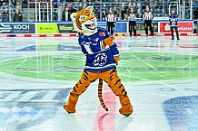 Eishockey, Herren, Penny DEL, 1. Spieltag, Saison 2023-2024, Straubing Tigers - Fischtown Pinguins Bremerhaven,15.09.2023