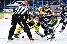 Eishockey, Herren, DEL, Saison 2020-2021, Straubing Tigers - Krefeld Pinguine, 07.04.2021