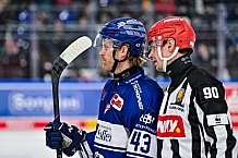 Eishockey, Herren, Penny DEL, 29. Spieltag, Saison 2023-2024, Straubing Tigers - Schwenninger Wild Wings,21.12.2023