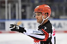 Straubing Tigers - ERC Ingolstadt