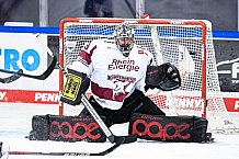 Eishockey, Herren, DEL, Saison 2020-2021, Straubing Tigers - Kölner Haie, 11.04.2021