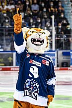 Eishockey, Herren, DEL, Saison 2021-2022, Straubing Tigers - Adler Mannheim, 10.09.2021