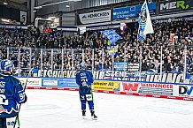 Eishockey, Men, DEL, Penny DEL, Hauptrunde Saison 2024-25, 8. Spieltag, Straubing Tigers - Adler Mannheim, 01.01.2021