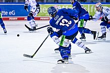 Eishockey, Herren, DEL, Saison 2022-2023, Hauptrunde, Straubing Tigers - Schwenninger Wild Wings, 15. Spieltag, 25.10.2022