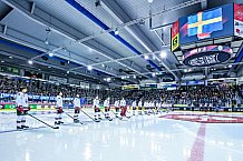 Eishockey, Herren, CHL, Champions Hockey League, Saison 2022-2023, Achtelfinale, Straubing Tigers - Frölunda HC Göteborg, Rückspiel, 22.11.2022