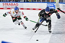 Eishockey, Herren, Penny DEL, 34. Spieltag, Saison 2023-2024, Straubing Tigers - Augsburger Panther,03.01.2024