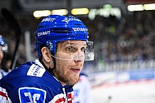 Eishockey, Herren, DEL, Saison 2021-2022, Playoff, Viertelfinale, Spiel 3, Straubing Tigers - Adler Mannheim, 14.04.2022