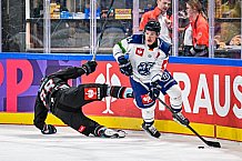 Eishockey, Men, CHL, Champions Hockey League, Regular Saison 2024-25, Game Day 1, Straubing Tigers - SonderjyskE Vojens, 06.09.2024