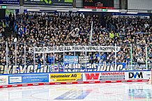 Eishockey, Men, DEL, Penny DEL, Hauptrunde Saison 2024-25, 4. Spieltag, Straubing Tigers - EHC Red Bull München, 29.09.2024