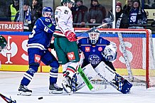 Eishockey, Herren, CHL, Champions Hockey League, Saison 2022-2023, Achtelfinale, Straubing Tigers - Frölunda HC Göteborg, Rückspiel, 22.11.2022