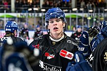 Eishockey, Herren, Penny DEL, 47. Spieltag, Saison 2023-2024, Straubing Tigers - Koelner Haie,18.02.2024
