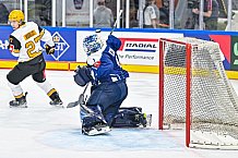 Eishockey, Men, CHL, Champions Hockey League, Regular Saison 2024-25, Game Day 2, Straubing Tigers - Skelleftea AIK, 08.09.2024