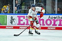 Eishockey, Herren, Penny DEL, 12. Spieltag, Saison 2023-2024, Straubing Tigers - Duesseldorfer EG,20.10.2023