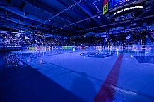 Eishockey, Herren, Penny DEL, DEL, Saison 2022-2023, Playoffs, Viertelfinale, Spiel 5, Straubing Tigers - Grizzlys Wolfsburg, 24.03.2023