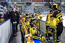 Eishockey, Herren, DEL, Saison 2020-2021, Straubing Tigers - Krefeld Pinguine, 07.04.2021