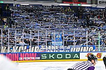 Eishockey, Men, CHL, Champions Hockey League, Regular Saison 2024-25, Game Day 4, Straubing Tigers - Dynamo Pardubice, 15.09.2024