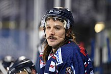 Straubing Tigers - ERC Ingolstadt