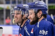 Eishockey, Herren, DEL, Penny DEL, Vorbereitung, Gäubodencup 2023, Finale, Saison 2023-2024, Straubing Tigers - HC Lugano,20.08.2023