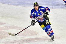 Herren, Eishockey, Oberliga-Sued, Saison 2023-2024, DEB, Deggendorfer SC - Bayreuth Tigers, 1. Spieltag, 28.09.2023