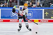Eishockey, Herren, Penny DEL, 22. Spieltag, Saison 2023-2024, Straubing Tigers - Fischtown Pinguins Bremerhaven,26.11.2023