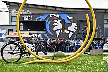 Eishockey, Herren, Penny DEL, Playoffs, Viertelfinale, Spiel 5, Saison 2023-2024, Straubing Tigers - Schwenninger Wild Wings,26.03.2024