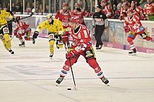 Herren, Eishockey, Oberliga-Süd, DEB, Saison 2024-2025, Deggendorfer SC - Tölzer Löwen, 22.09.2024