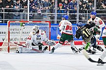 Eishockey, Herren, Penny DEL, 34. Spieltag, Saison 2023-2024, Straubing Tigers - Augsburger Panther,03.01.2024