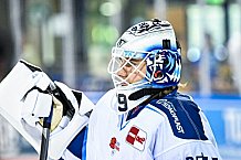 Eishockey, Herren, DEL, Saison 2023-2023, Straubing Tigers, Showtraining, 06.08.2022