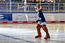 Eishockey, Herren, DEL, Saison 2021-2022, 56. Spieltag, Straubing Tigers - Fishtown Pinguins Bremerhaven,  17.03.2022