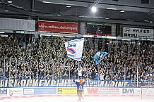 Eishockey, Herren, DEL, Saison 2021-2022, Playoff, Viertelfinale, Spiel 3, Straubing Tigers - Adler Mannheim, 14.04.2022