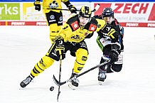 Eishockey, Herren, DEL, Saison 2020-2021, Straubing Tigers - Krefeld Pinguine, 07.04.2021