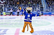 Eishockey, Herren, Penny DEL, DEL, Saison 2022-2023, Playoffs, Viertelfinale, Spiel 5, Straubing Tigers - Grizzlys Wolfsburg, 24.03.2023