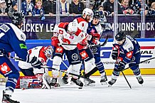 Eishockey, Men, CHL, Champions Hockey League, Regular Saison 2024-25, Game Day 4, Straubing Tigers - Dynamo Pardubice, 15.09.2024