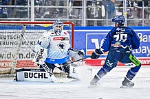 Eishockey, Herren, Penny DEL, Saison 2024-2024, Vorbereitung, Gäubodencup 2024, Straubing Tigers - ERC Ingolstadt, 29.08.2024
