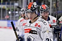Eishockey, Herren, DEL, Penny DEL, Vorbereitung, Spiel um Platz 3, Gäubodencup 2023, Saison 2023-2024, Nürnberg Ice Tigers - ERC Ingolstadt,20.08.2023