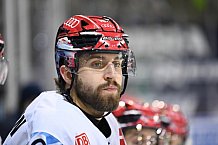 Straubing Tigers - ERC Ingolstadt