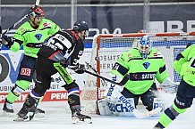 Eishockey, Herren, DEL, Saison 2020 2021, Straubing Tigers - ERC Ingolstadt, 31.01.2021