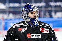 Eishockey, Herren, DEL, Saison 2020-2021, Straubing Tigers - Kölner Haie, 11.04.2021
