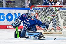 Eishockey, Men, DEL, Penny DEL, Hauptrunde Saison 2024-25, 8. Spieltag, Straubing Tigers - Adler Mannheim, 11.10.2024