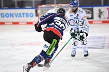 Straubing Tigers - Augsburger Panther