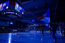 Eishockey, Herren, Penny DEL, DEL, Saison 2022-2023, Playoffs, Viertelfinale, Spiel 1, Straubing Tigers - Grizzlys Wolfsburg, 14.03.2023