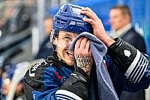 Eishockey, Herren, Penny DEL, Playoffs, Viertelfinale, Spiel 5, Saison 2023-2024, Straubing Tigers - Schwenninger Wild Wings,26.03.2024