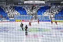 Eishockey, Herren, Penny DEL, 52. Spieltag, Saison 2023-2024, Straubing Tigers - Grizzlys Wolfsburg,08.03.2024