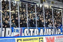 Eishockey, Herren, DEL, Saison 2021-2022, 24.10.2021