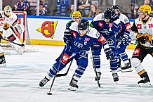 Eishockey, Men, CHL, Champions Hockey League, Regular Saison 2024-25, Game Day 2, Straubing Tigers - Skelleftea AIK, 08.09.2024