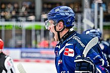 Eishockey, Men, DEL, Penny DEL, Hauptrunde Saison 2024-25, 5. Spieltag, Straubing Tigers - Eisbären Berlin, 01.10.2024