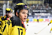 Eishockey, Herren, DEL, Saison 2020-2021, Straubing Tigers - Krefeld Pinguine, 07.04.2021